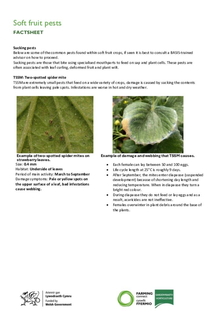 Soft fruit pests