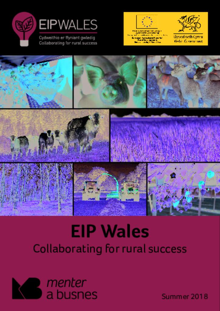 Summer 2018 EIP Wales Booklet