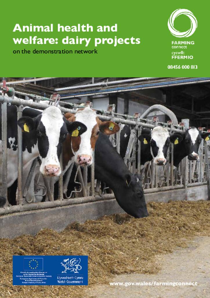 Animal health and welfare: dairy projects on the demonstration network -  09/03/2020 | Farming Connect