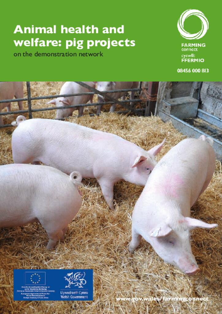 Animal health and welfare: pig projects