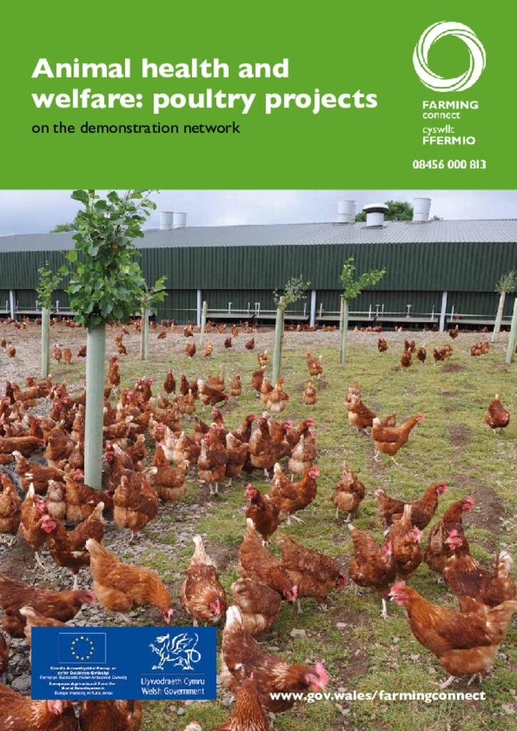 poultry booklet