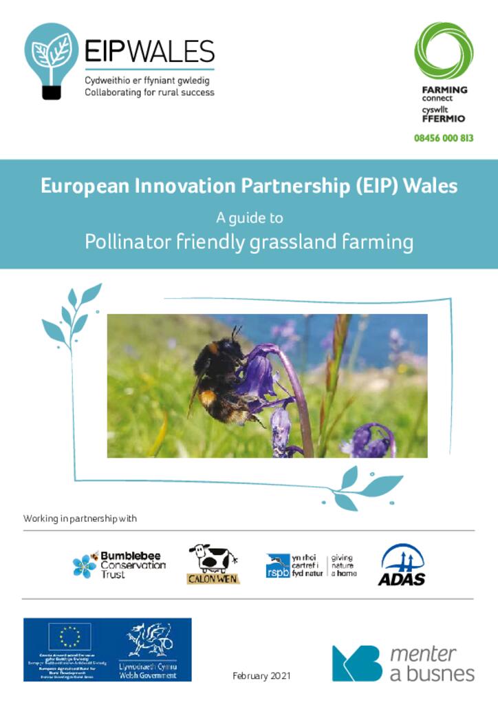 EIP - Pasture for pollinators booklet