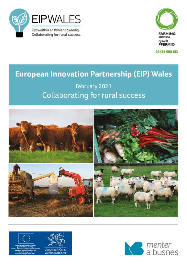 European Innovation Partnership (EIP) Wales Projects - February 2021