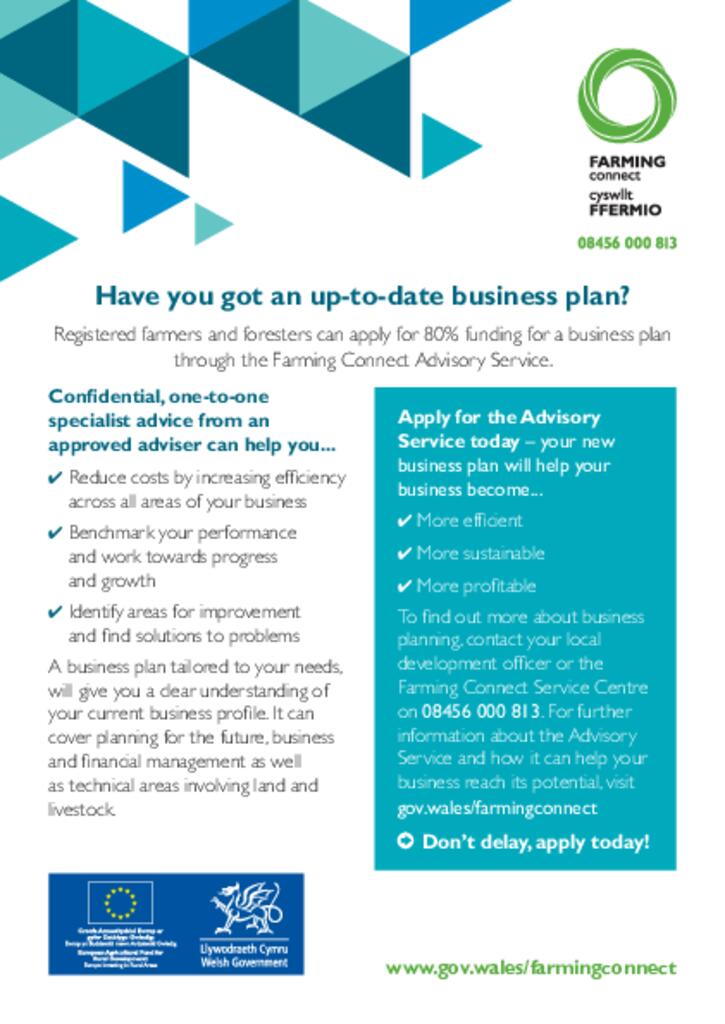 Advisory Service Business Planning Flyer June 2021