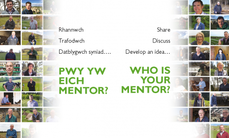 mentoring (image)