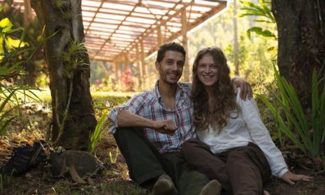 Parc y Dderwen image