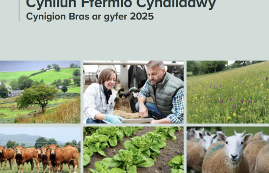 Sustainable Farming Scheme booklet