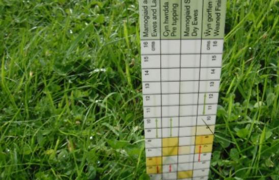 Measuring Grass Quantity