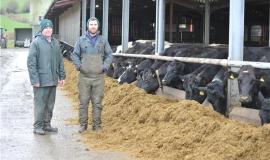 Genomic testing unlocks the full potential of Welsh crossbred herd