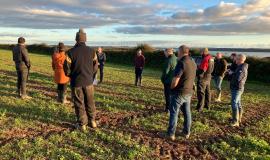 Farming Connect study sheds new light on soil health status of arable fields