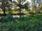 Basic Management & Maintenance of Ponds and Wetland 