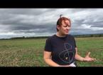 Sinead Lynch, Bumblebee Conservation Trust - Pasture for Pollinators 