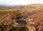 The Peatland Restoration Practitioners course
