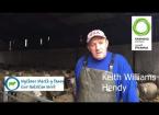 TMR/soya feeding system (Keith Williams, Hendy)