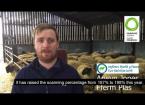 January/February lambing and creep feeding (Arwyn Jones, Fferm Plas Farm)
