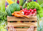 Food Safety for Growers of Fresh Produce 