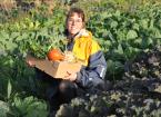 Small Growers Standard helps Pembrokeshire market garden win new business