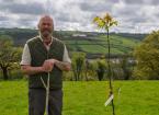 Martyn Williams and sweet chestnut tree Landcaspe