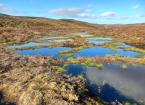 An Introduction to Peatland Restoration