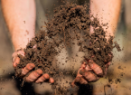 Soil Health