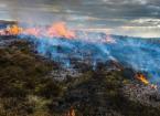 Using Fire to Manage Vegetation