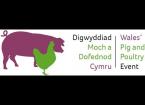 Farming Connect and Menter Moch Cymru - Wales Pig &amp; Poultry Event 2019 - 11/07/2019