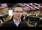 Dairy Cow Health Monitoring