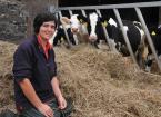 abi reader with heifers