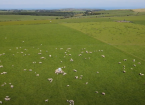 Welsh Pasture Project