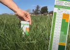 Methods of Measuring Grass