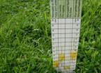 Measuring Grass Quantity