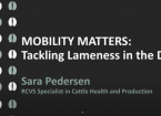 Mobility matters