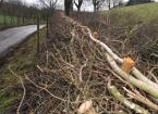 Practical Hedge Laying
