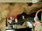 Robotic milking and cattle welfare