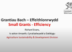 Small Grants - Efficiency and Environmental