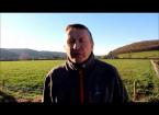 Noel Gowan, Grasstec - Cynllunio pori cynnar yn Nhrawscoed