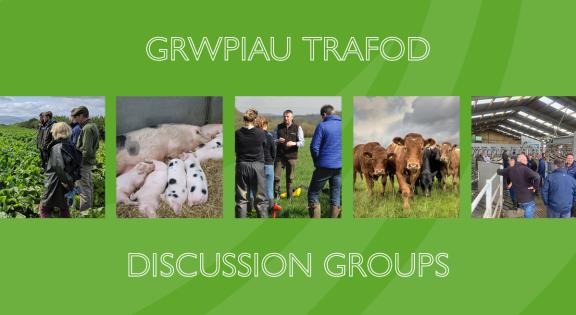 Discussion Groups