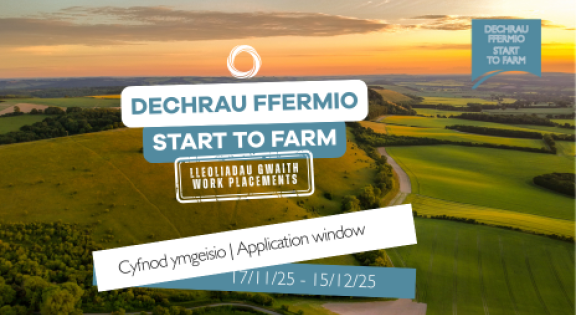 Start to Farm: Work placement