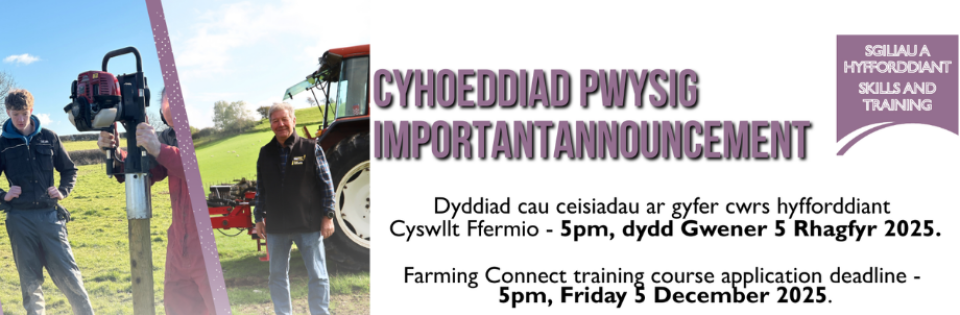 Training Courses Deadline