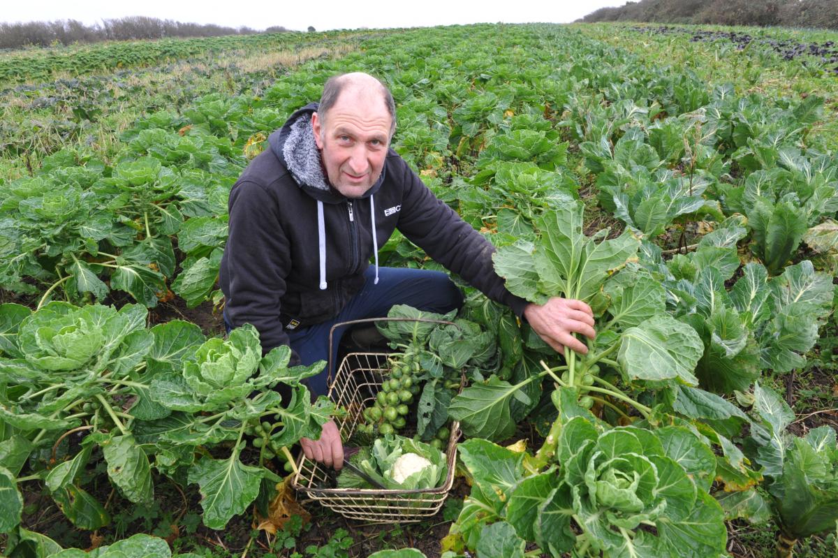 Breaking new ground… Pembrokeshire farmer who diversified into organic ...