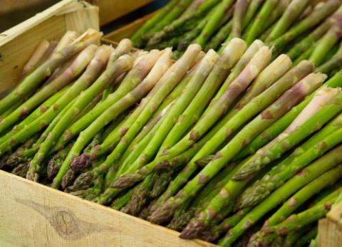 An examination of the practical and financial potential for growing small scale asparagus organically at 2 locations in South Wales