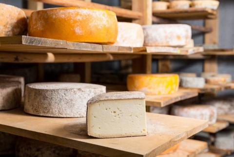 The role of in cheese making | Farming Connect
