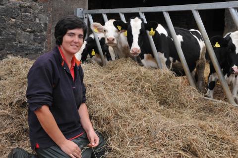 abi reader with heifers 0