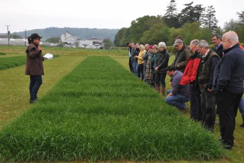 dr sarah palmer leads discussion at ibers plant breeding open day 0
