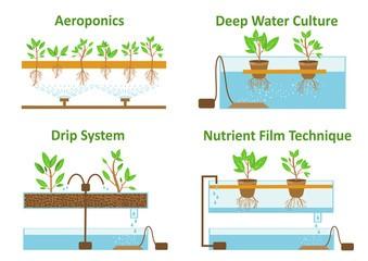 hydroponics 2 0