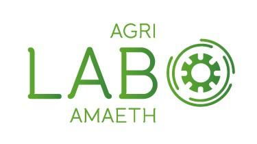 logo lab amaeth
