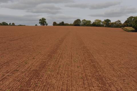 ploughed field 0