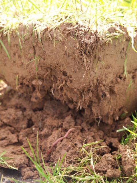 soil close up1 1 0
