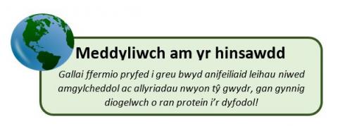 tech article protein for animal feeds cymraeg