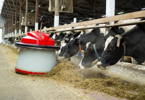 Agricultural Infrastructure: Integrating technology for animal health and  wellbeing | Farming Connect